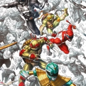 POWER RANGERS VS LAS TORTUGAS NINJA